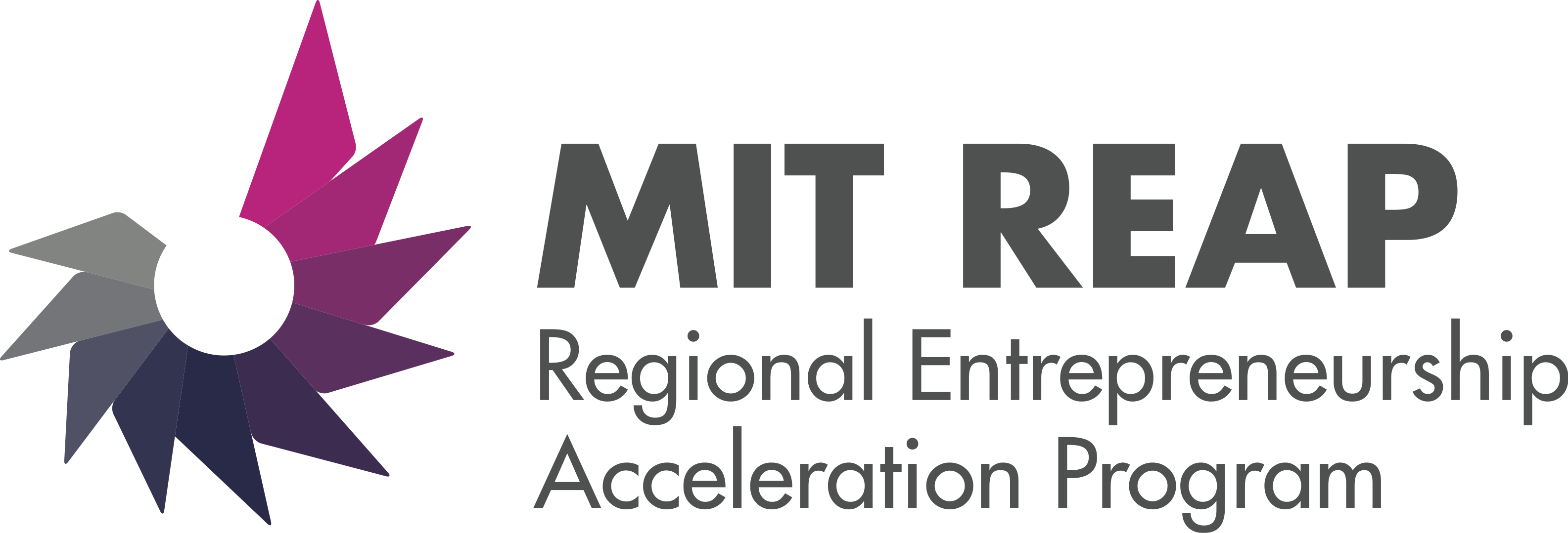 MIT REAP Logo