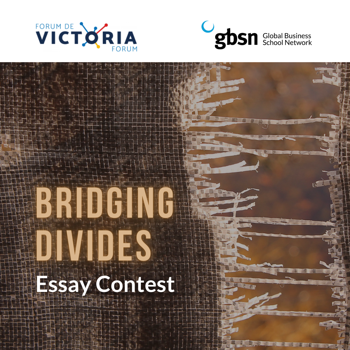 Breaking Barriers essay winners announced