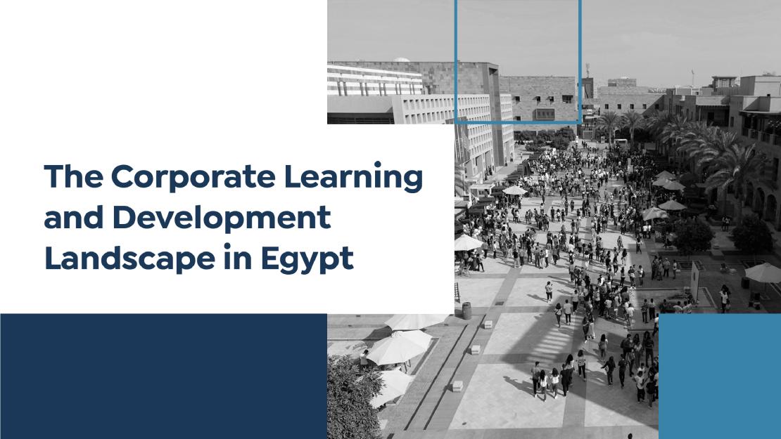 AUC School Of Business Executive Education Releases A Report On The ...